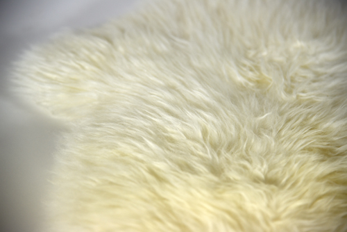 ModernConscience_AustralianSheepskinPelt_05