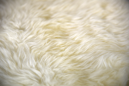 ModernConscience_AustralianSheepskinPelt_06